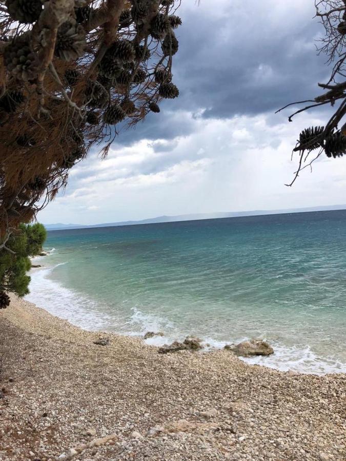Oaza Mira Mobile Houses - Camp Basko Polje #Bestoffer Baška Voda Dış mekan fotoğraf