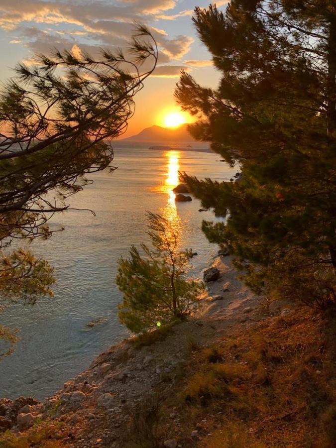Oaza Mira Mobile Houses - Camp Basko Polje #Bestoffer Baška Voda Dış mekan fotoğraf