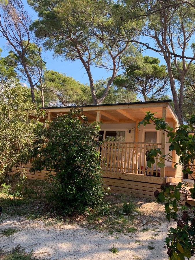 Oaza Mira Mobile Houses - Camp Basko Polje #Bestoffer Baška Voda Dış mekan fotoğraf